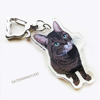 キジトラ猫のアクリルキーホルダーの画像