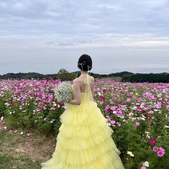 実例写真！レモンイエロー 百褶プリーツ ホルターネック ロング 可愛い プリンセスライン 前撮りの画像