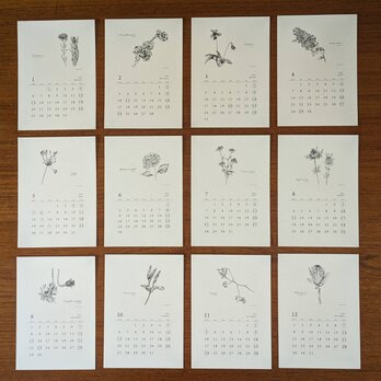 ２０２５寄添花  Ａ６カレンダーの画像