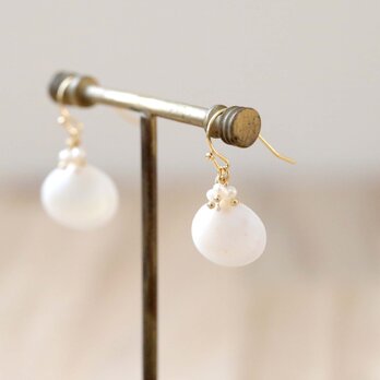 白い貝殻と淡水パールの耳飾り