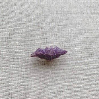 クスノキのブローチ ＊コウモリ＊の画像