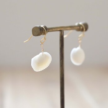 白い貝殻のイヤリング・ピアス