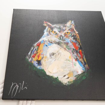 owl / フクロウの画像