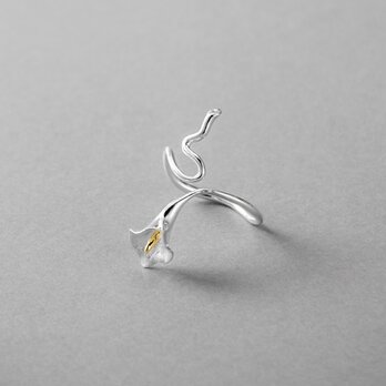 カラー リングの画像