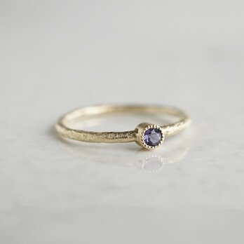 Amethyst birthstone ring [R050K10AM]