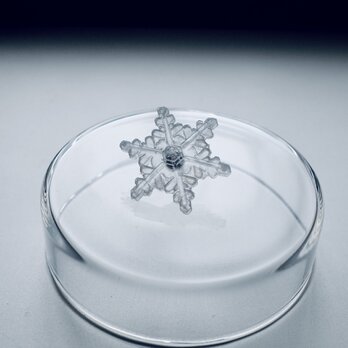 【メルマガ掲載】雪、ついてるよ　no.20 雪の結晶　ピンブローチ　多重星形角板