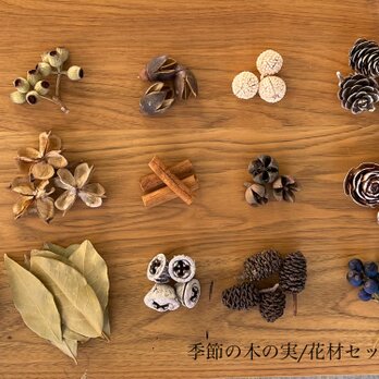 ドライフラワー　木の実アソートセット　全15種　クリスマス装飾に！の画像