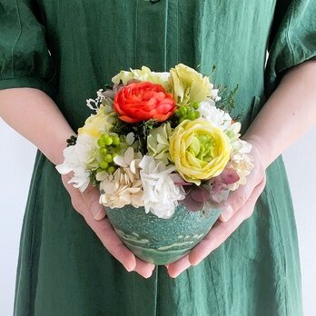 【 Ranunculus/ ラナンキュラス】　М  　フォレストの画像
