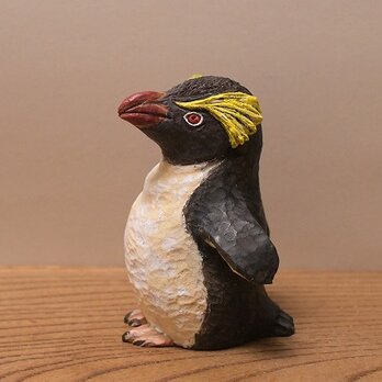 イワトビペンギン（売れました）の画像