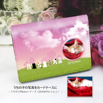 うちの子の写真で作る 定期入れ/パス入れ/名刺入れ  カードケース（ほのぼのにゃんこ-恋空花-）の画像