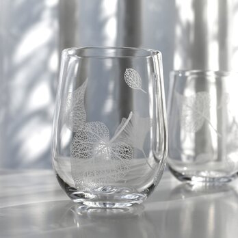 Botanico glass M sizeの画像