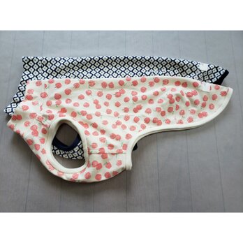犬服　Ｋ様オーダーメイド品：ウィペット用タンクトップの画像