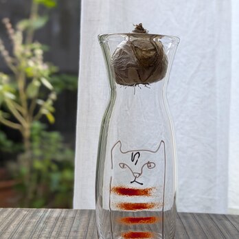 しましま猫のの画像