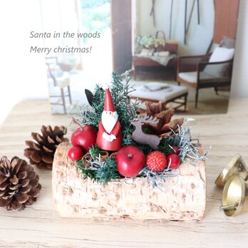 トナカイと一緒☆森の中のサンタ