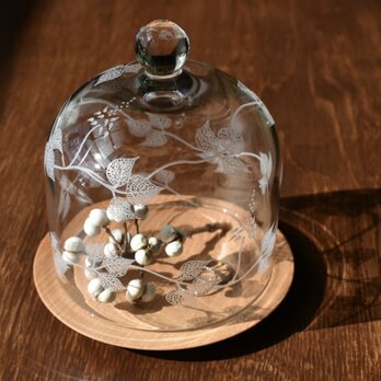Botanico glass dome M size(巻き蔓)の画像