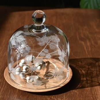 Botanico glass dome M size(蔓)の画像