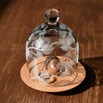 Botanico glass dome S size(巻き蔓)の画像