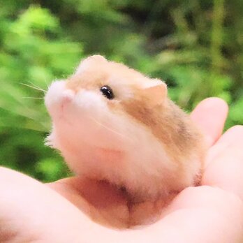 ロボロフスキーハムスターのぬいぐるみの画像
