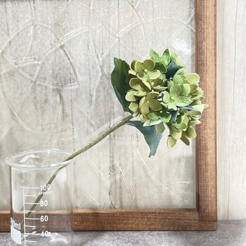 布花　飾れるアナベルのドライフラワー風の画像