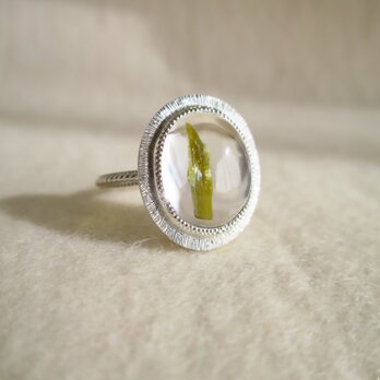 SV Epidote in Quartz Ringの画像