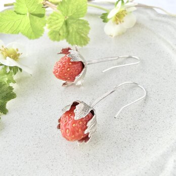 摘みたて苺のポーセリンガラスピアス/porcelain glass,silver925の画像