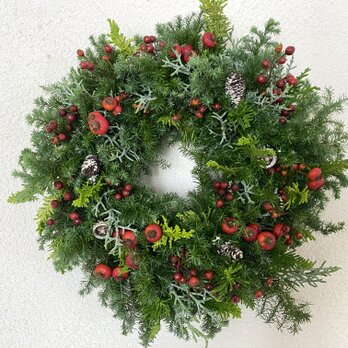 赤い実がいっぱいクリスマス2の画像