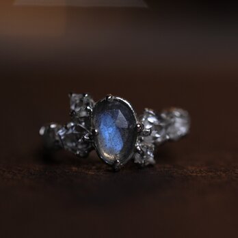 Wild Crystal & Labradorite Ringの画像