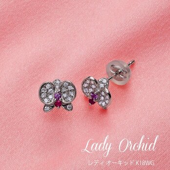 Lady Orchid (レディ オーキッド)K18WG×ダイヤモンド・ルビー・ピンクサファイア　蘭の花ピアスの画像