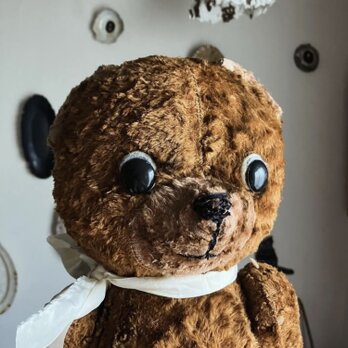ポーランド　びっくり顔の　テディベア　ヴィンテージの画像