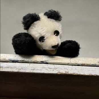 レア　シュタイフ　Floopy Panda ヴィンテージの画像