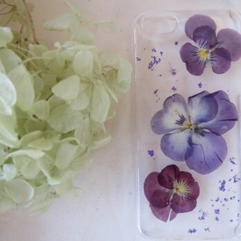 iPhone5 5s パンジー 紫の画像