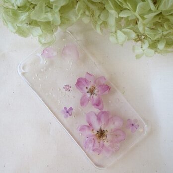iPhone5 5s カイドウサクラ 桜 さくらの画像
