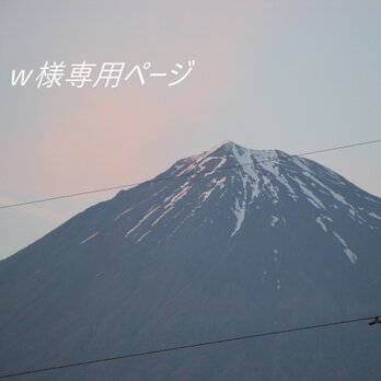 ＊w様専用ページの画像