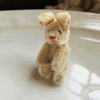 シュコー　Noah's Ark うさぎの画像