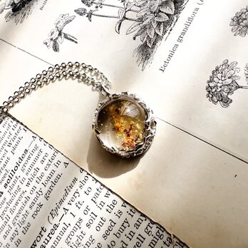 Garden Quartz Autumnの画像