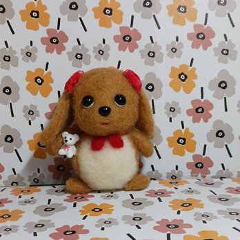 赤いリボンの可愛いダックス犬　　　羊毛の画像