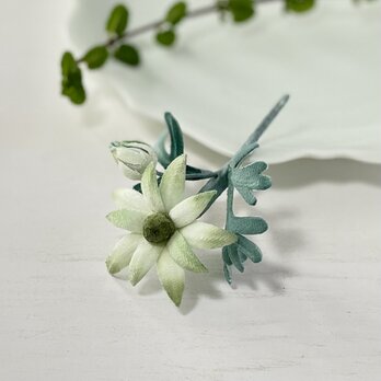 布花　星のような花が可愛らしいフランネルフラワーのブローチの画像