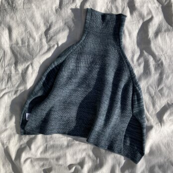 Charlotte  Fox Morning Cape　No.2の画像