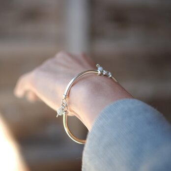 -Karensilver- tube・Jade braceletの画像
