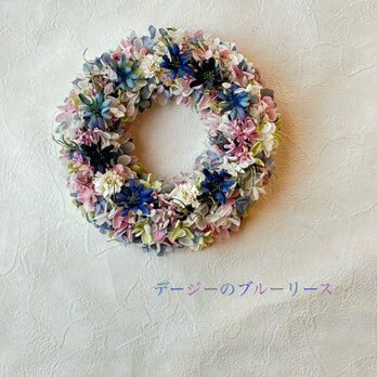 季節を問わずに！デージーのブルーリースの画像