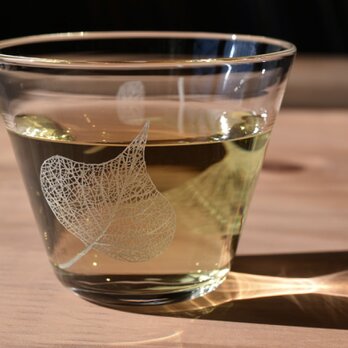 Botanico glass S size(ナンキンハゼ)の画像