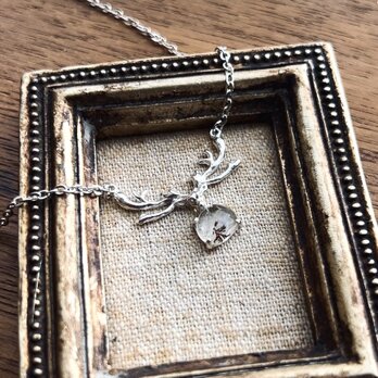 Dendritic Quartz Reindeerの画像