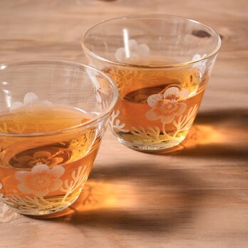 Botanico glass S size(アネモネ)の画像