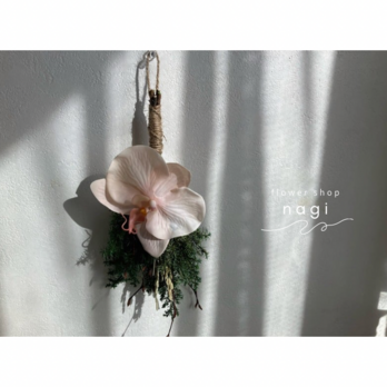 【正月飾り/ナチュラルミニスワッグ/蘭(pink】