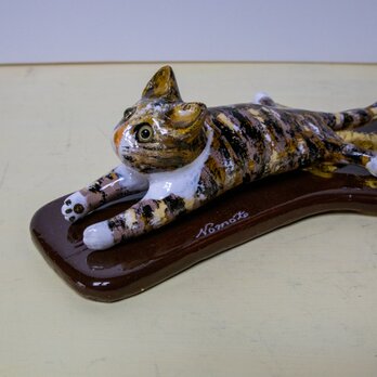 キジ猫の画像