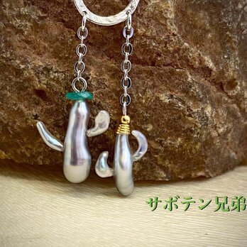 サボテン兄弟の画像