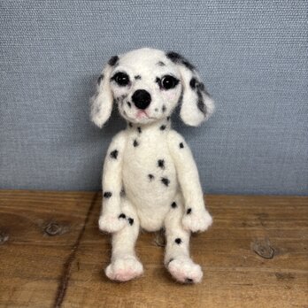 ダルメシアンNO.3＊犬の画像