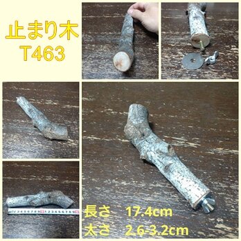 止まり木（枝：TOY-08-015）T463の画像