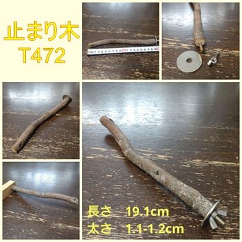 止まり木（枝：TOY-08-015）T472の画像