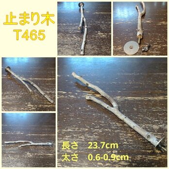止まり木（枝：TOY-08-015）T465の画像